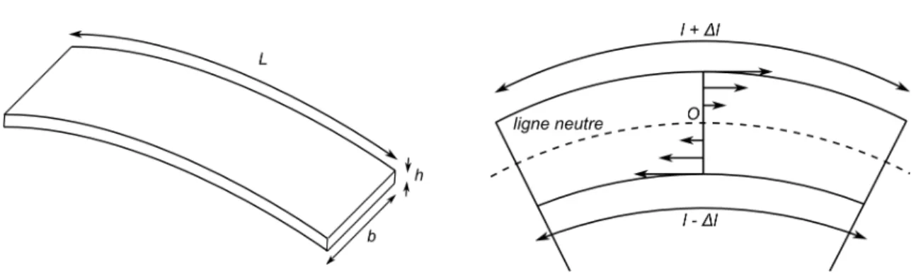 Figure 4.3 – Notations utilisées pour décrire les dimensions des racloirs utilisés (à gauche), et schéma d’une poutre courbée (à droite) : les flèches représentent l’allongement local.