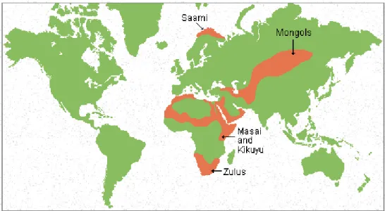 Figure 9: Carte mondiale montrant les régions traditionnellement pastorales en orange  (produite par Dennis O’Neil,  http://anthro.palomar.edu/subsistence/sub_3.htm ) 