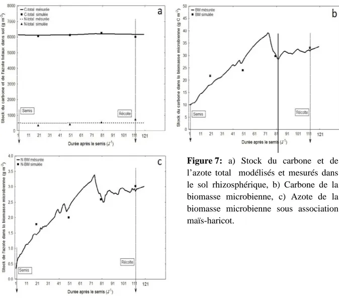Figure 7:  a)  Stock  du  carbone  et  de 