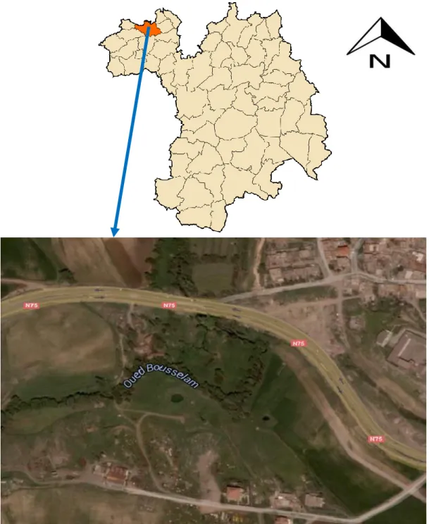 Figure 05 : Le site expérimental (google map 2013). 