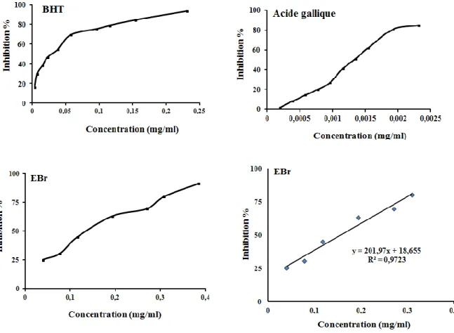 Figure  10:  Pourcentage  d’inhibition  du  radical  libre  DPPH  en  fonction  des  concentrations  des 