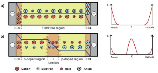 Figure 4: Distribution of the electric field within a LEEC, as described by the a) electrodynamic  and b) electrochemical models [27, 34] 