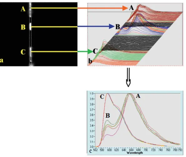 Figure 19: Spectral mapping of the fluorescence spectra of luminescent grain. (a) The PL image  of the emissive material