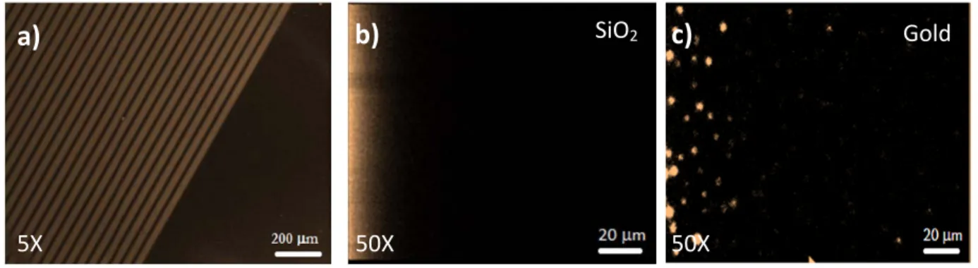 Figure 25: PL images of a thin film of Ir(ppy) 2 (bpy)   +  PF 6 - ; a)  On a pre-patterned Au on SiO 2