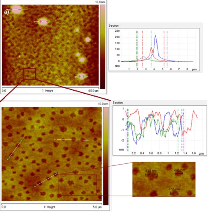 Figure 35: AFM section profile of spin coated thin films of Ir(ppy) 2 (bpy) + PF 6 -  on Au patterned on SiO 2