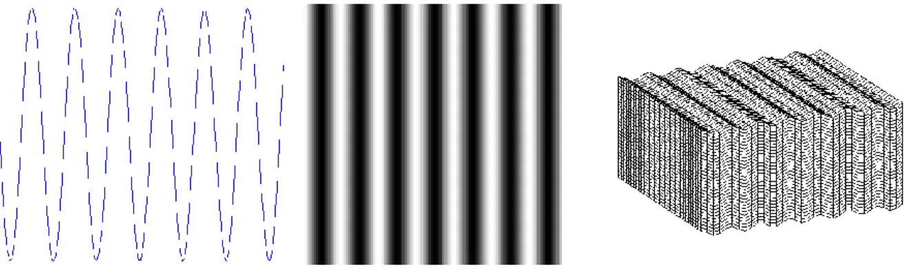 Figure 4-2 : Simulation élastique sur un vecteur en 1D, sur une tranche en 2D et sur un volume en  3D 
