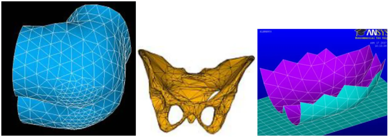 Figure  1.9:  Modèle  biomécanique  de  Wagnac  et  coll.  (2008) :  a)  représentation  du  volume  des  tissus mous; b) bassin et c) interface de contact fessier-coussin