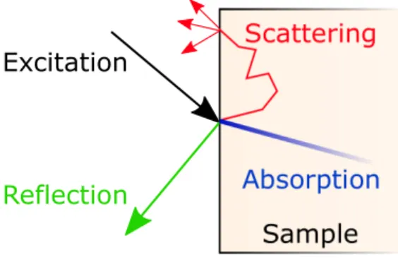 Figure 2.1 Main light-tissue interaction mechanisms.