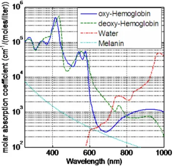 Figure 2.2 Absorption spectra of the main chromophores in human tissue. [5]