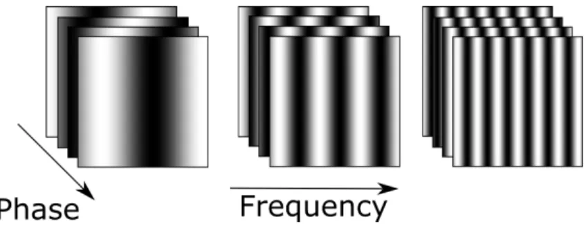 Figure 2.3 Example of structured projection patterns for spatial frequency domain imaging showing three frequencies with four phases each.