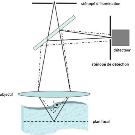 Figure 1.8 Schéma d’un microscope confocal montrant l’effet des sténopés d’illumination et de détection sur le  sectionnement optique