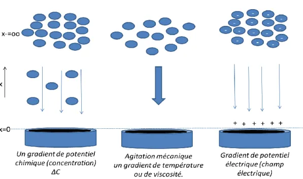 Figure 1 - 3: Différents modes de transferts de la masse d’une substance electroactive vers la 