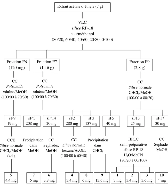 Figure III-3: Protocole de purification des composés  isolés de l’extrait AcOEt   de Ononis pusilla 