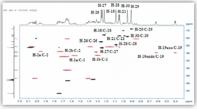 Figure III.9: Spectre HSQC de la partie génine du composé 1