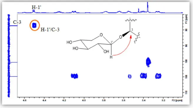 Figure III.50: Spectre HMBC mettant en évidence la position du sucre