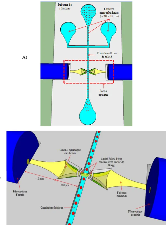 Figure 1.1 : Représentation du dispositif à l'étude  A) Vue générale du laboratoire sur puce 