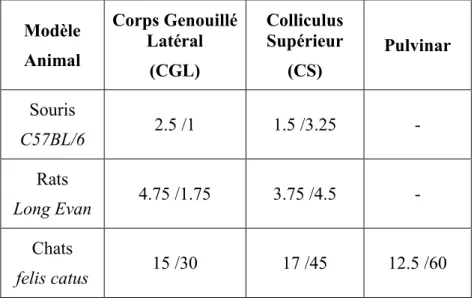 Tableau  1.1 :  Profondeur  (verticale  en  mm)/Volume  (par  hémisphère,  en  mm 3 )  des  différents 