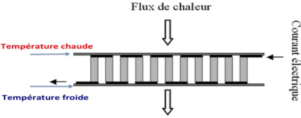 Figure 3-1: Schéma montrant la différence de température imposée sur un module TE 