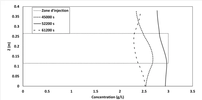 Figure 3.10 : Distribution verticale de la concentration dans le puits d’observation (46 cm en aval  hydraulique)
