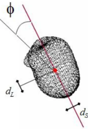 Figure 2.4: Maximal tilt and translation for transformation of moving image while  searching for maximal value of mutual information