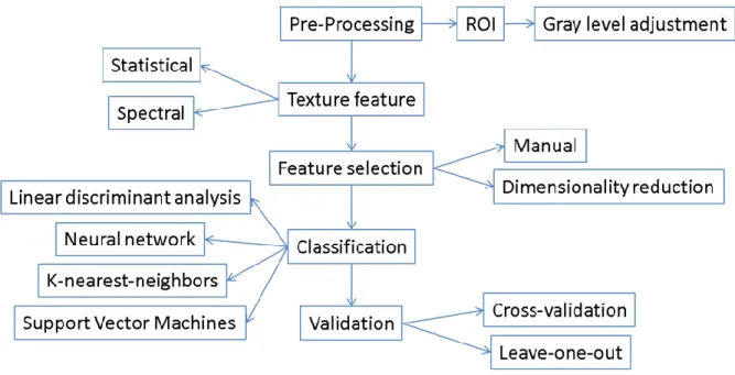 Figure 0-6: Diagram of the different computations involved in texture analysis and classification  [187]