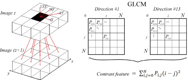 Figure 0-2 : 3D pixel-wise texture map is obtained by computing the GLCM for every pixel in  the myocardial region