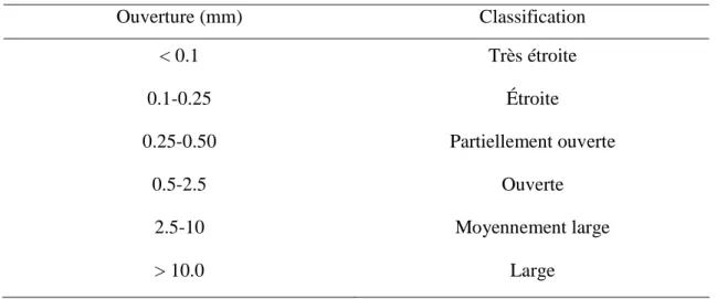 Tableau 2.2 Classification des discontinuités en fonction de la taille de l’ouverture   (tiré d’Indraratna et Ranjith, 2001) 