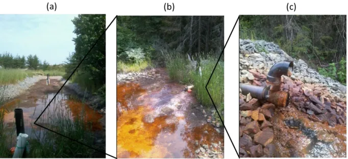 Figure  2.2    Passive  treatment  system  at  the  Lorraine  mine  site,  showing  (a  and  b)  surface  overflow of AMD and (c) treated effluent  