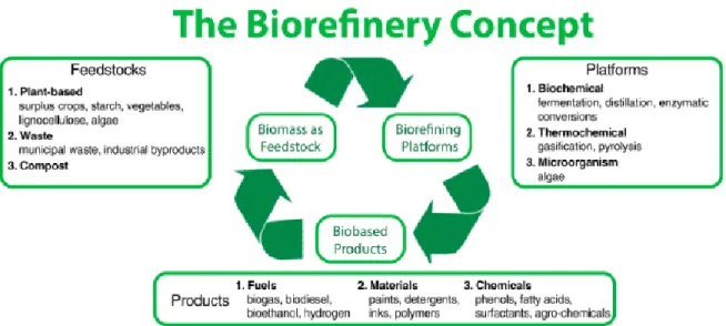 Figure 2-1: Concept global du bioraffinage  