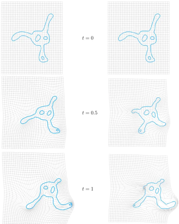 Figure 4.5: Registration of the blue amoeba to the orange amoeba, with σ V = 0.1, σ W =