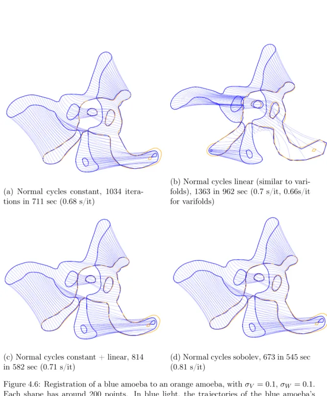 Figure 4.6: Registration of a blue amoeba to an orange amoeba, with σ V = 0.1, σ W = 0.1.