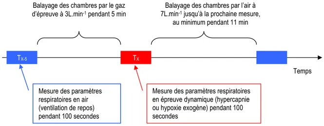 Figure 1 : Schéma du principe d’alternance des mesures en air et des mesures en stimulation 