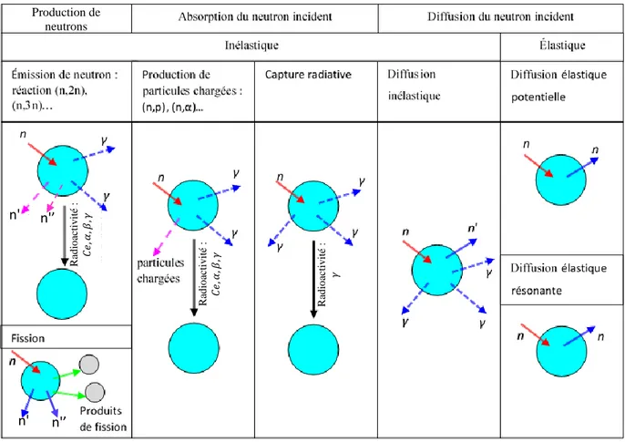 Figure 2-3 : Les diverses interactions entre un neutron et un noyau cible  (Diop, 2006a) Radioactivité :