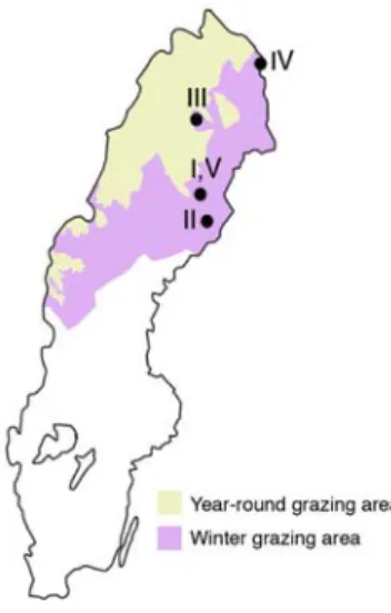Figure 1. Reindeer herding area in Sweden. Forest land for wood production represents about 