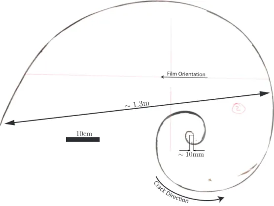 Figure 2.3: Picture of the ﬁnal tear obtained. The external edge of the darker zone