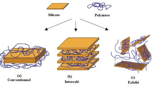 Figure 1-10:Différentes structures des composites résultants de l’interaction des feuillets de  silicate et du polymère [53]