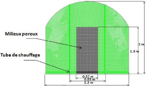Figure 2. Serre tunnel à pieds droits avec une rangée de plantes