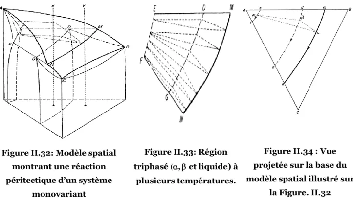 Figure II.32: Modèle spatial  montrant une réaction  péritectique d’un système 
