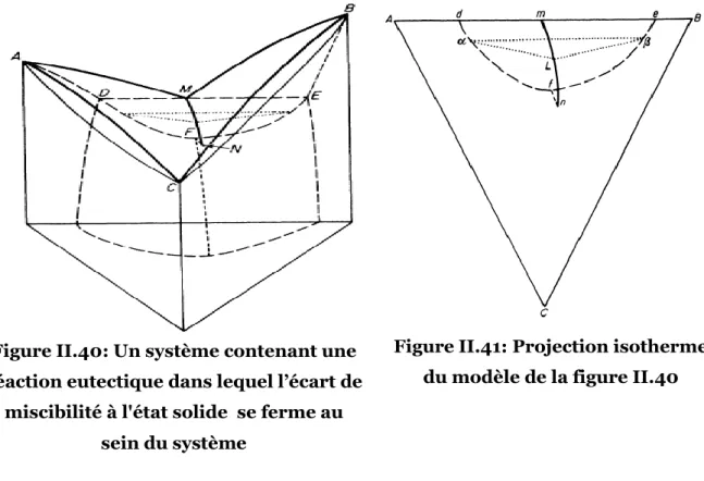 Figure II.40: Un système contenant une  réaction eutectique dans lequel l’écart de 