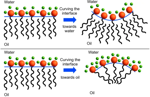 Figure 1.5: Curving the interface changes the balance of interactions between water, oil and surfactant.