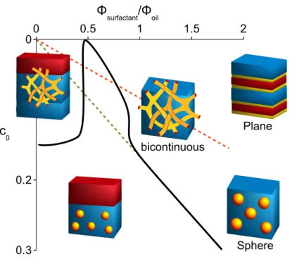 Figure 1.8: Qualitative correction of the previous phase diagram with the formation of bicontinuous networks.