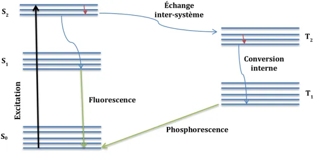 Figure 2-2: Schéma des transitions électroniques dans une molécule organique. 