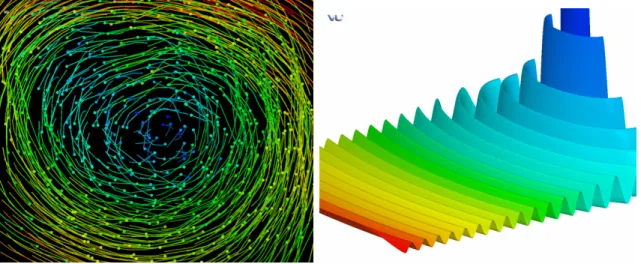 Figure 4.5 From left : A vortex represented as a vector-field and a shockwave as an isosurface.