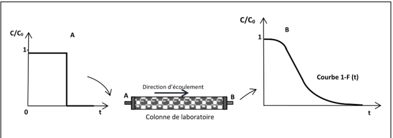 Figure I.4. Réponse à une à une injection purge-échelon. C/C0    1- Colonne de laboratoire A Direction d’écoulement  0                    t A B  Courbe F  (t)                           C/C0   1 t B 