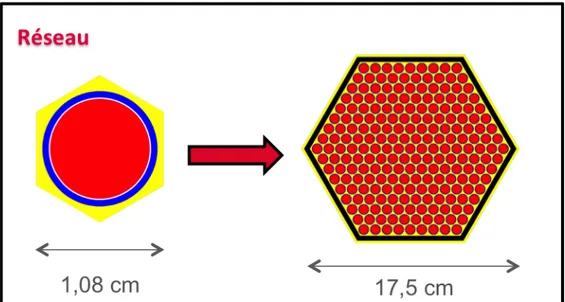 Figure 4.1 Passage de la cellule à l’assemblage