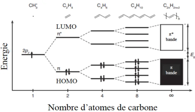 Figure 2-3 : La formation de bandes dans les molécules conjuguées 