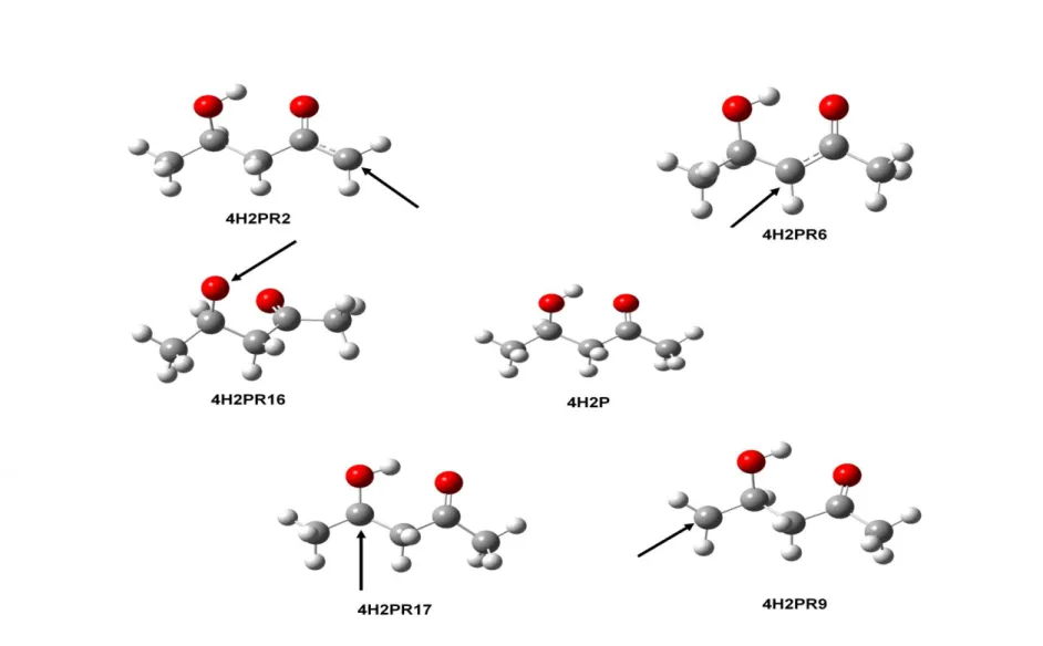 Figure III.1: Les différents voies d'abstraction-H des groupes (CH3 C(O)-), -CH 2 -, CH(OH) –   et -CH 3  pour 4H2P