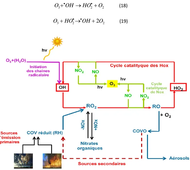 Figure I.3 : Représentation schématique des principaux mécanismes impliqués dans la  formation d’ozone troposphérique