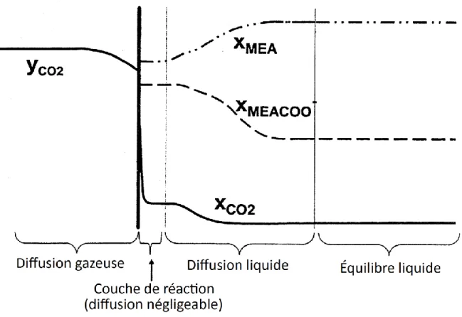 Figure 1.1: Absorption de CO2 à l'interface gaz-liquide, adapté de Freguia (2002) 