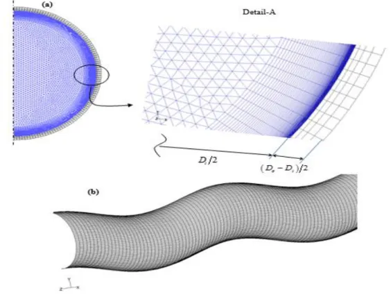 Figure 3.1 : Typical meshing generated by GAMBIT 2.2.30. (a) The cross-section view and (b) portion of the  inner wall meshing